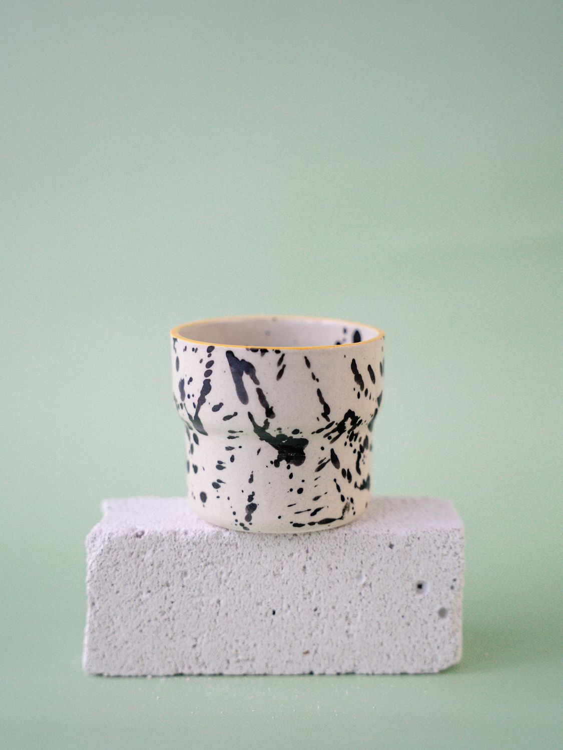 Czarka Dalmatyńczyk - miodowa