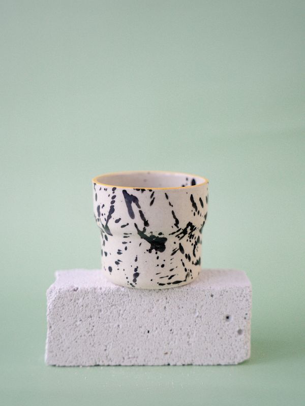 Czarka Dalmatyńczyk - miodowa