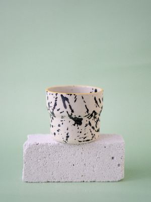 Czarka Dalmatyńczyk - miodowa