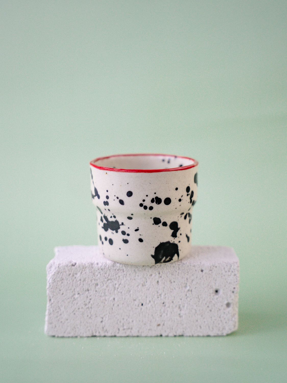 Czarka Dalmatyńczyk - czerwona