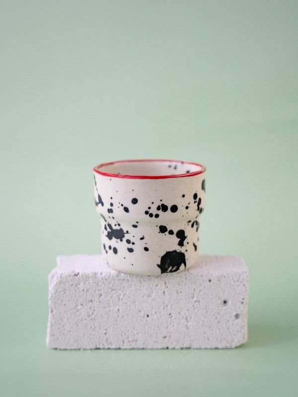 Czarka Dalmatyńczyk - czerwona