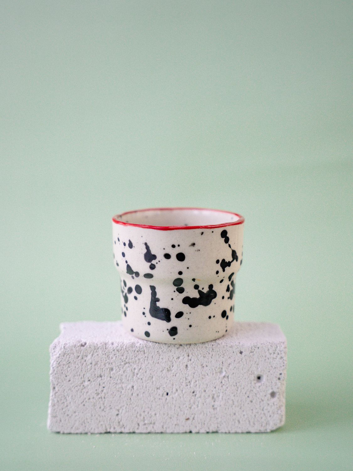 Czarka Dalmatyńczyk - czerwona