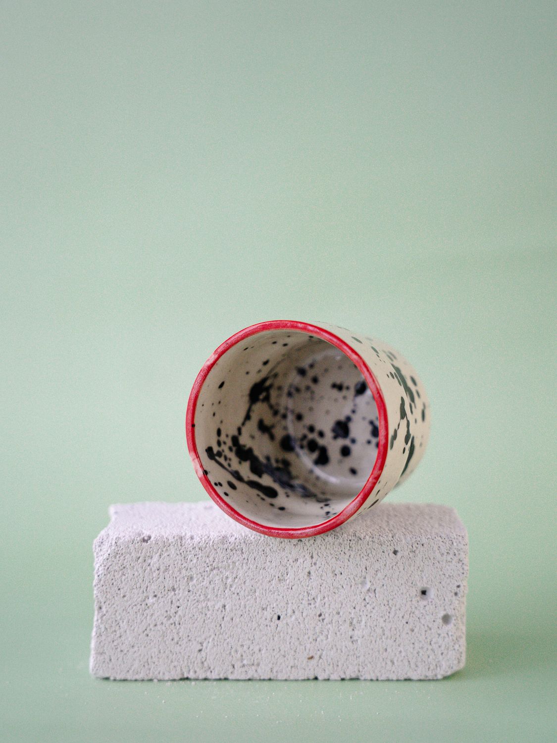 Czarka Dalmatyńczyk - czerwona