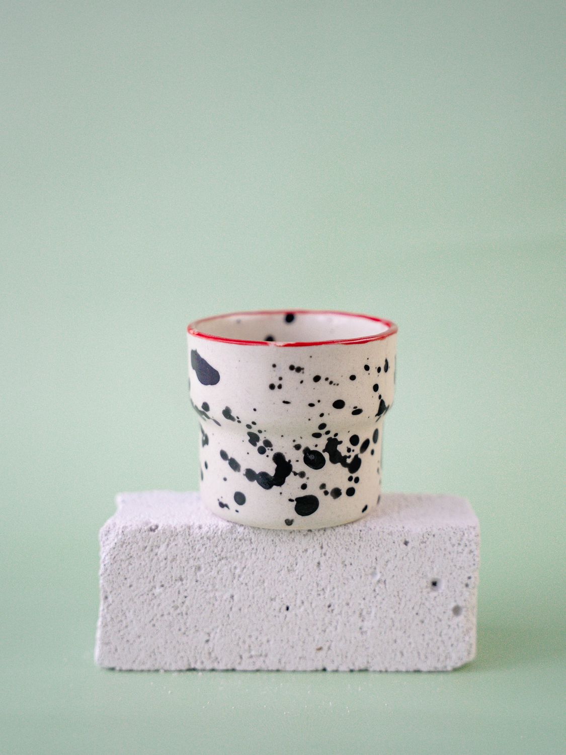 Czarka Dalmatyńczyk - czerwona