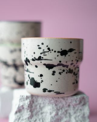 Czarka Dalmatyńczyk - brzoskwiniowa