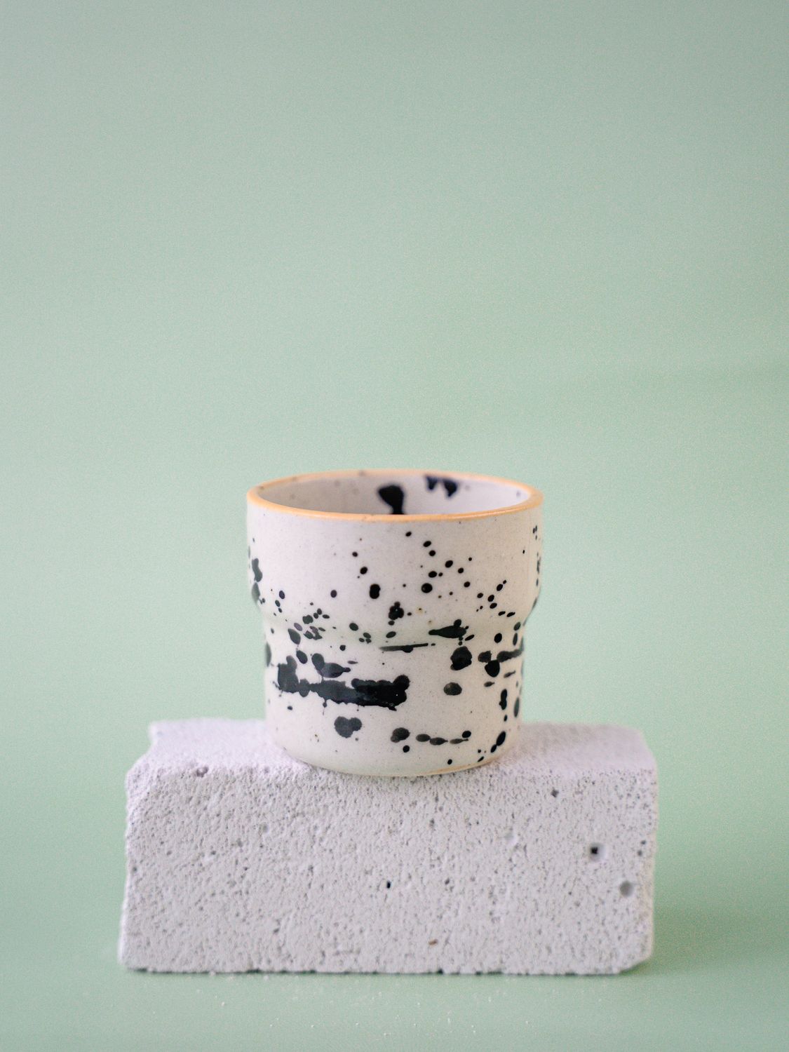 Czarka Dalmatyńczyk - brzoskwiniowa