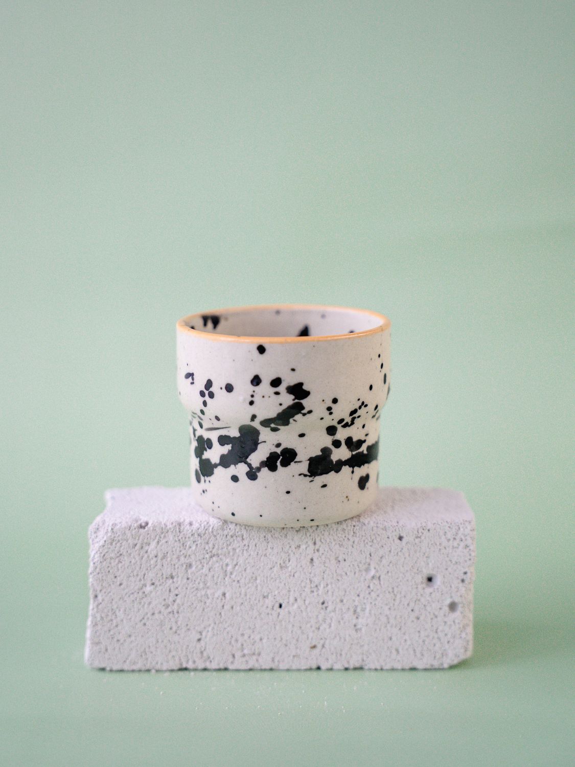 Czarka Dalmatyńczyk - brzoskwiniowa