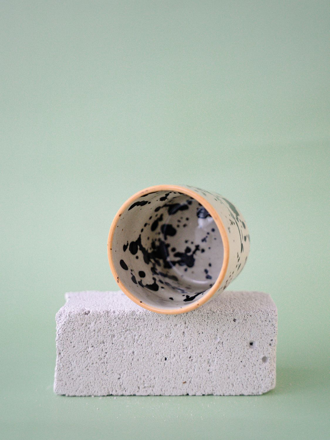 Czarka Dalmatyńczyk - brzoskwiniowa