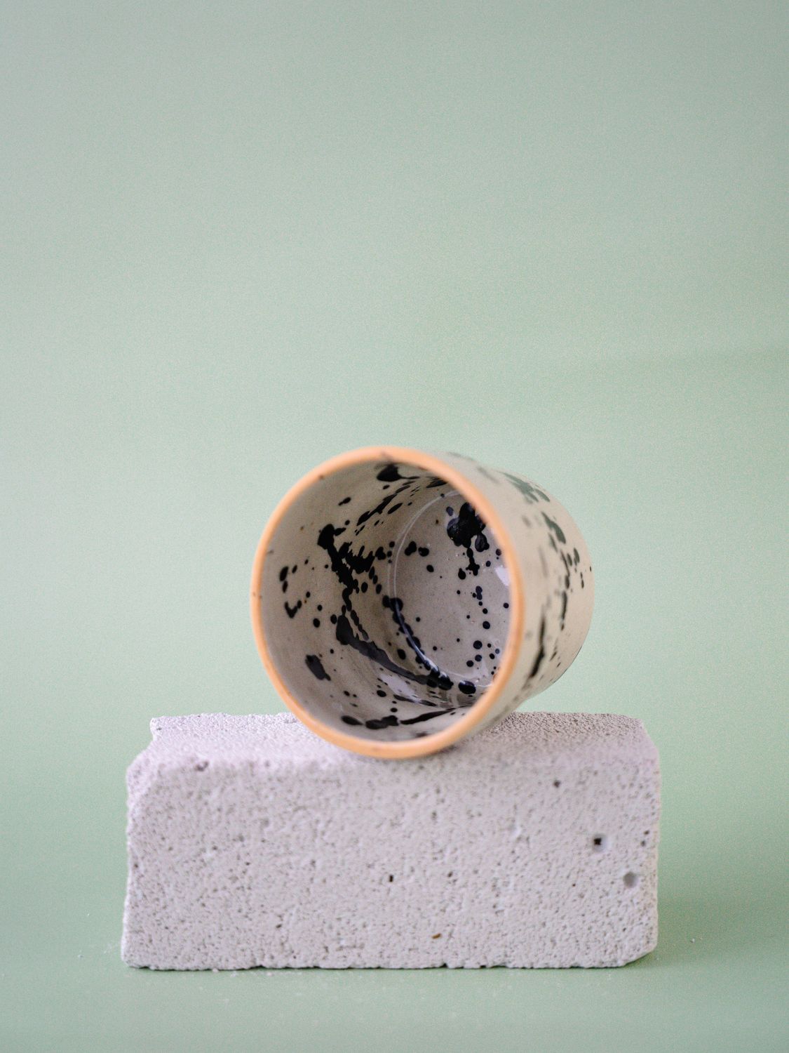 Czarka Dalmatyńczyk - brzoskwiniowa