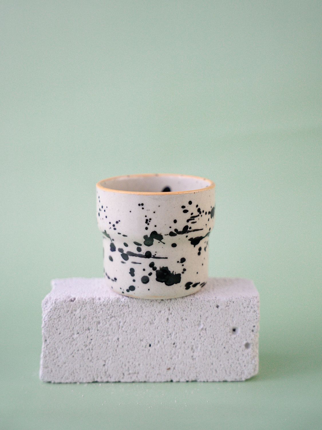 Czarka Dalmatyńczyk - brzoskwiniowa