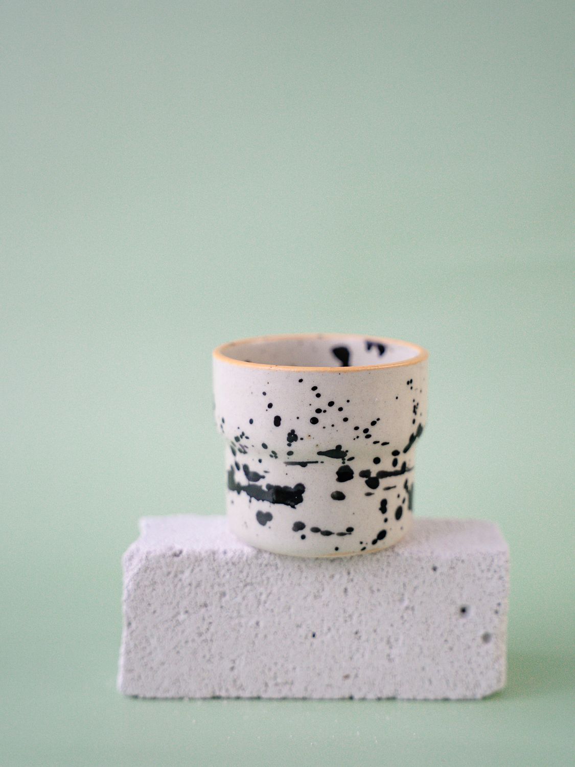 Czarka Dalmatyńczyk - brzoskwiniowa