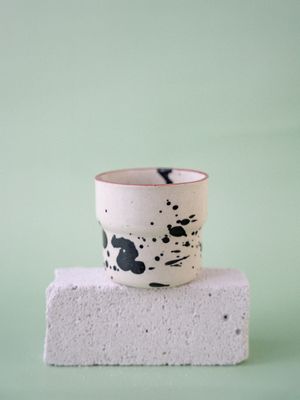 Czarka Dalmatyńczyk - burgundowy