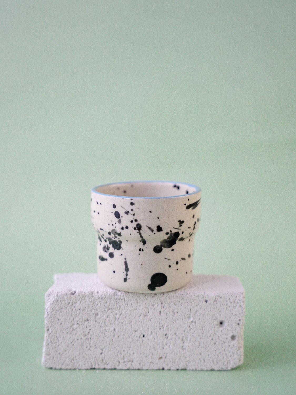 Czarka Dalmatyńczyk - błękitny