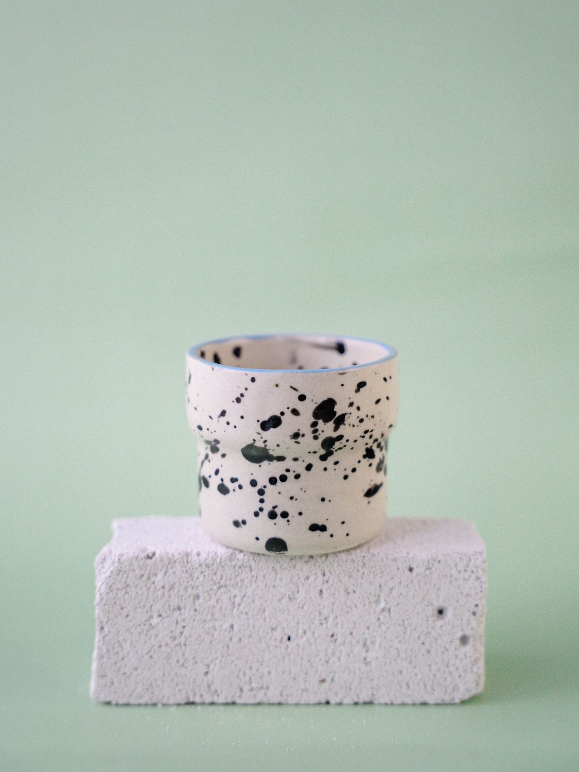 Czarka Dalmatyńczyk - błękitny