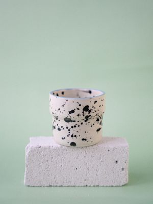 Czarka Dalmatyńczyk - błękitny