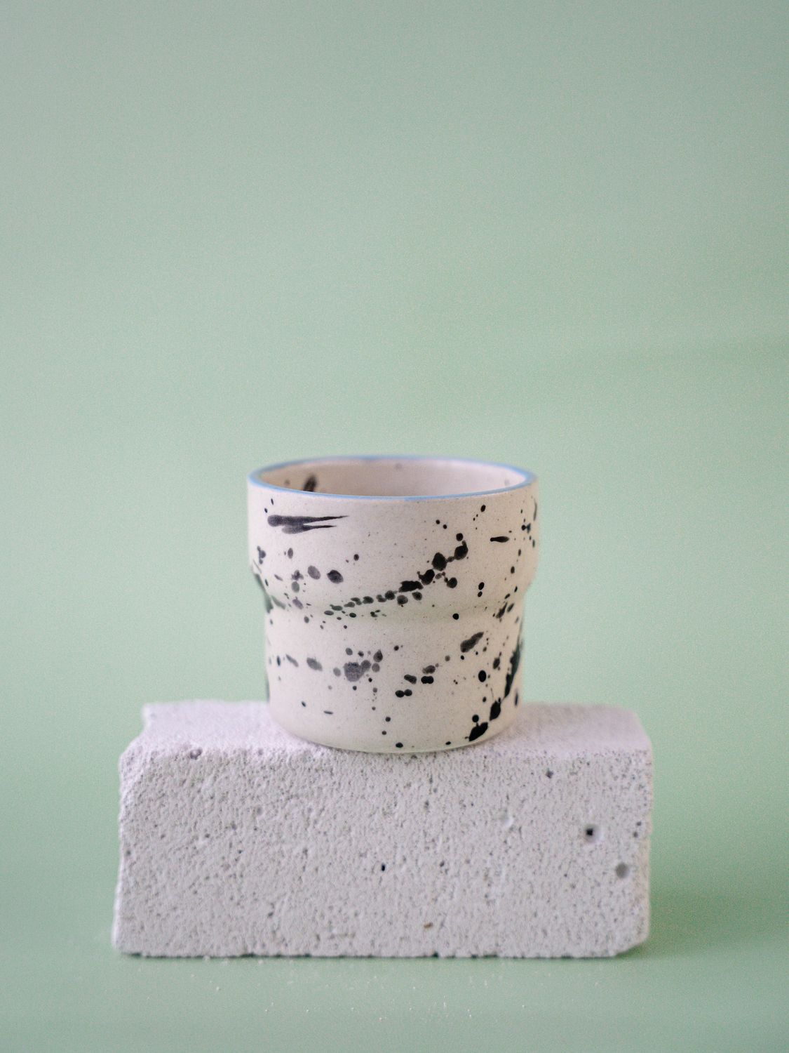 Czarka Dalmatyńczyk - błękitny