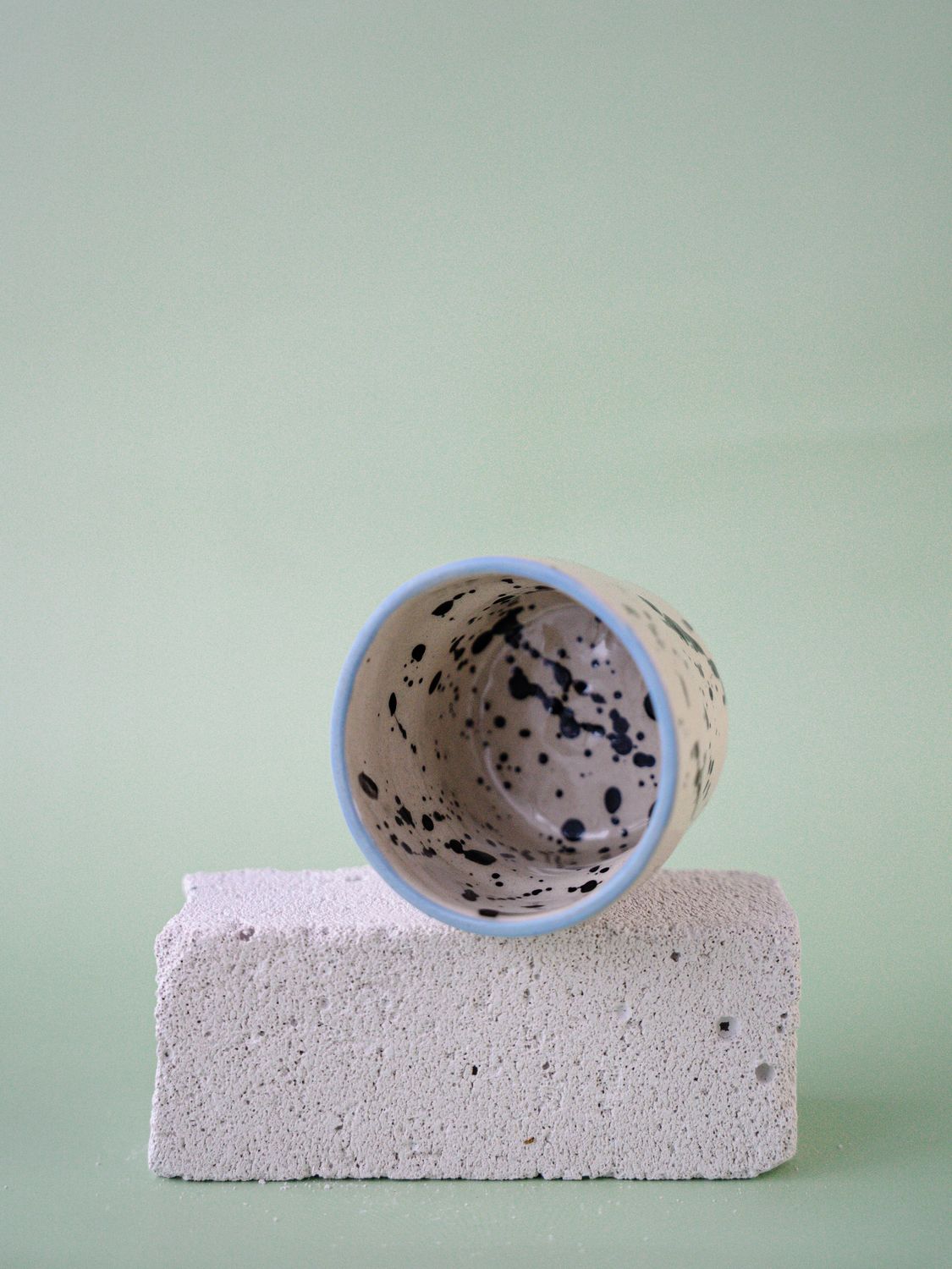 Czarka Dalmatyńczyk - błękitny