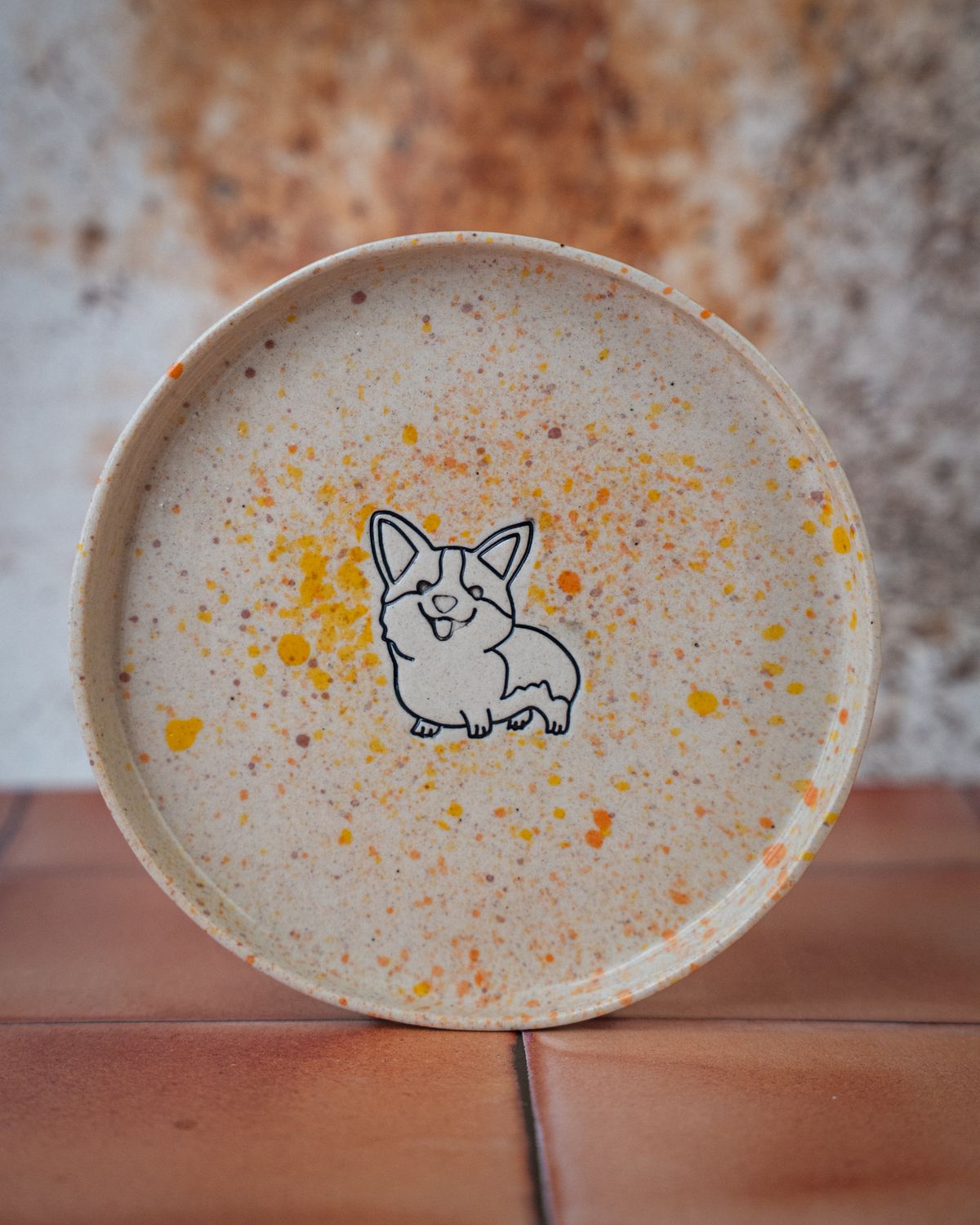 Psi Talerzyk - corgi #001