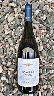 Minutolo 'Rampone' I Pastini 2017 Minutolo 'Rampone' I Pastini 2017