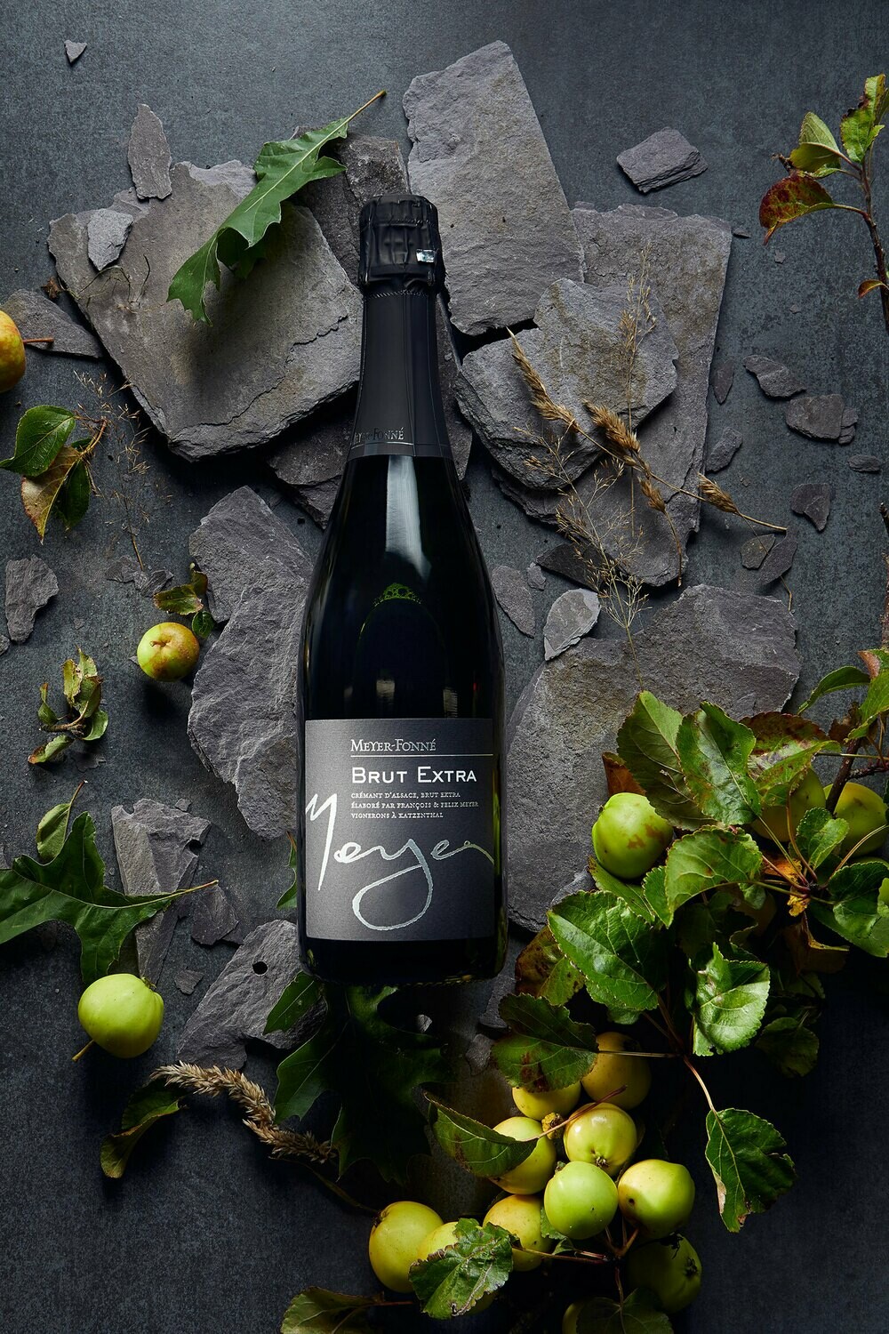 Cremant d'Alsace 'Brut Extra' Meyer Fonne NV