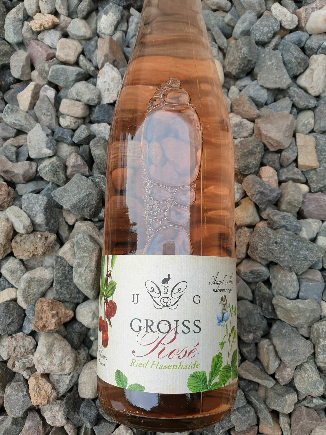 Ingrid Groiss 'Hasenhaide' Rose 2019 Ingrid Groiss 'Hasenhaide' Rose 2019