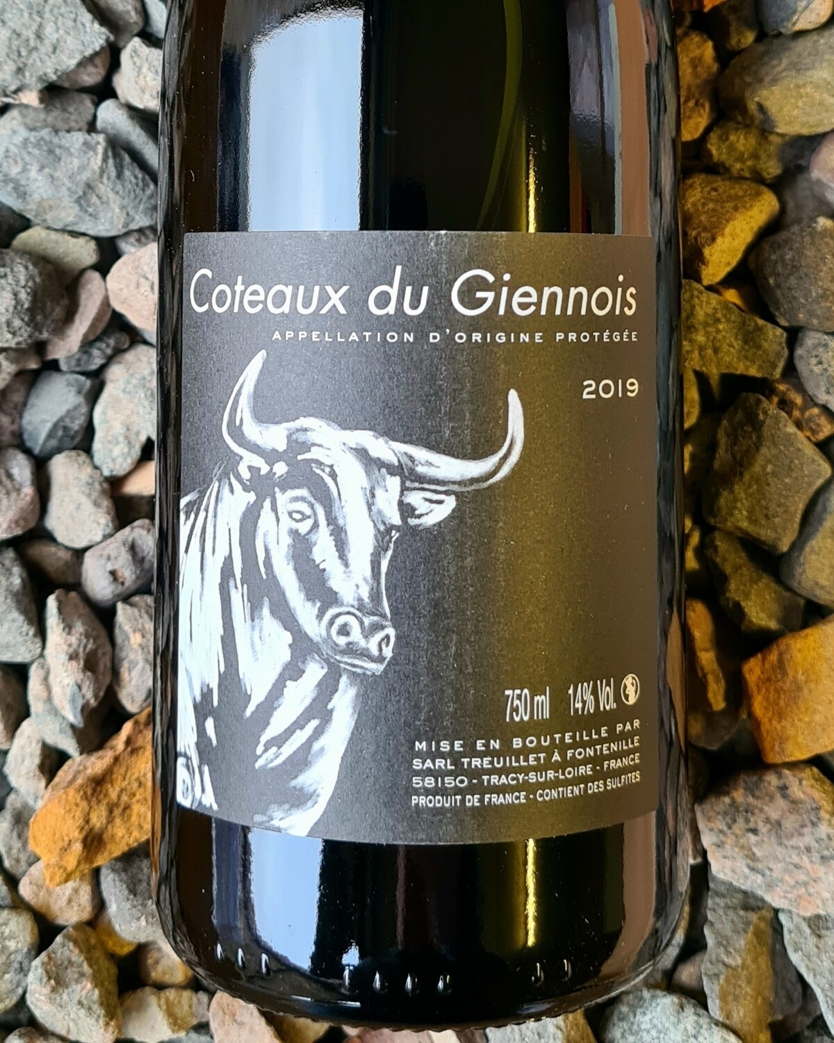 Coteaux du Giennois Rouge Domaine Sebastien Treuillet 2019