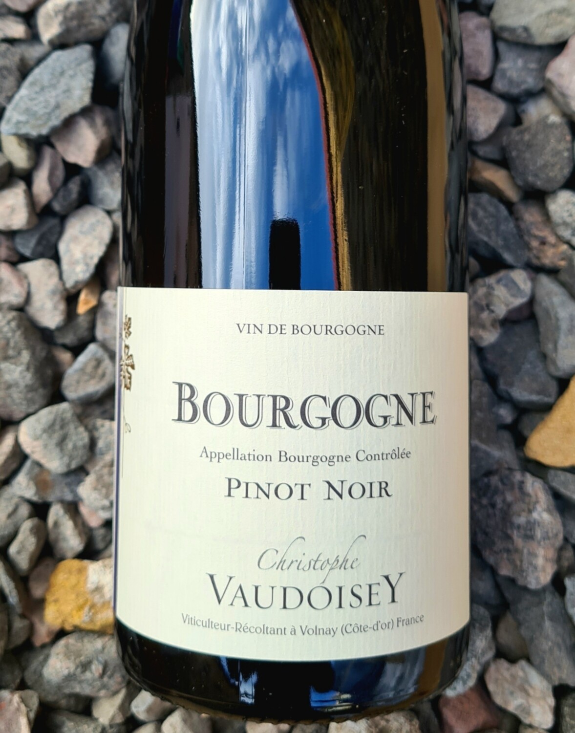 Bourgogne Rouge Domaine Christophe Vaudoisey 2020