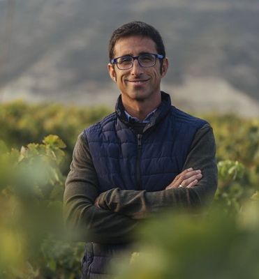 Contino - Rioja
