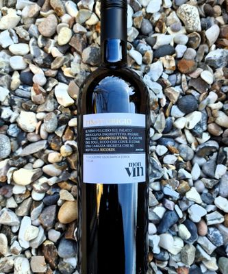 Monvin Pinot Grigio 2023