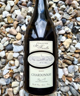 Chardonnay 'Les Prunelles' Bruno Andreu 2023