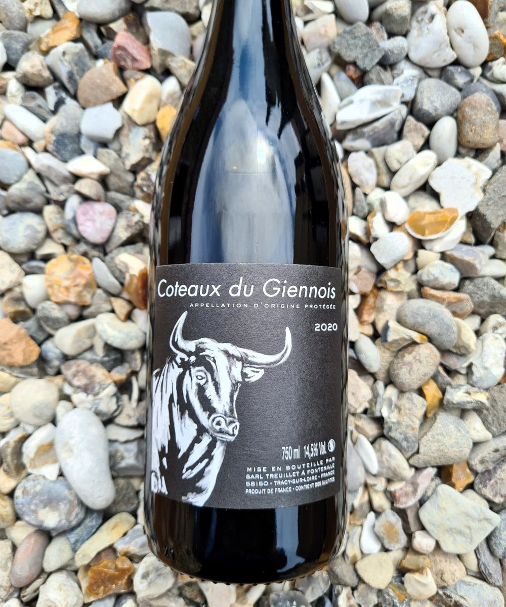 Coteaux du Giennois Rouge Domaine Sebastien Treuillet 2019