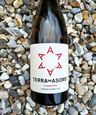 Terra de Asorei Albarino Crianza 'Sobre Lias' 2023