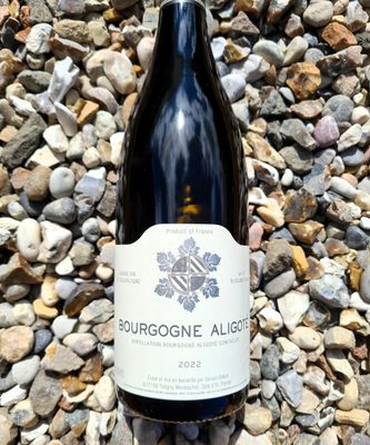 Bourgogne Aligote Domaine Sylvain Bzikot 2022