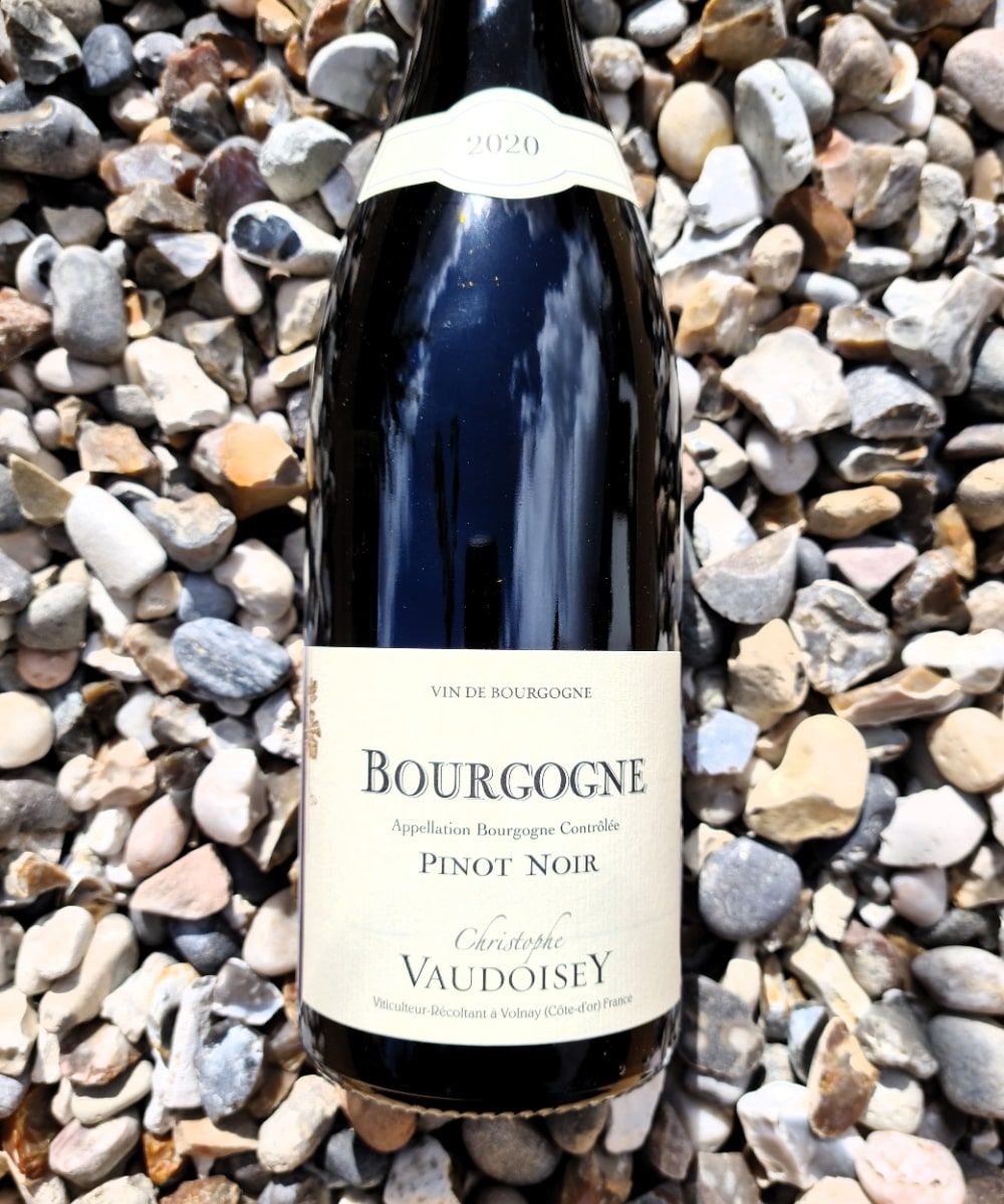 Domaine Christophe Vaudoisey Bourgogne Rouge 2020