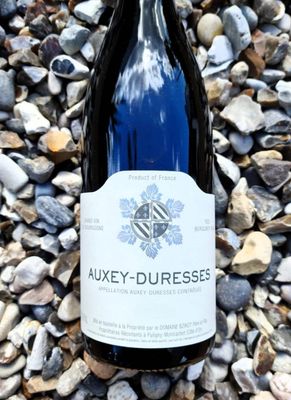 Auxey-Duresses Rouge Sylvain Bzikot 2022