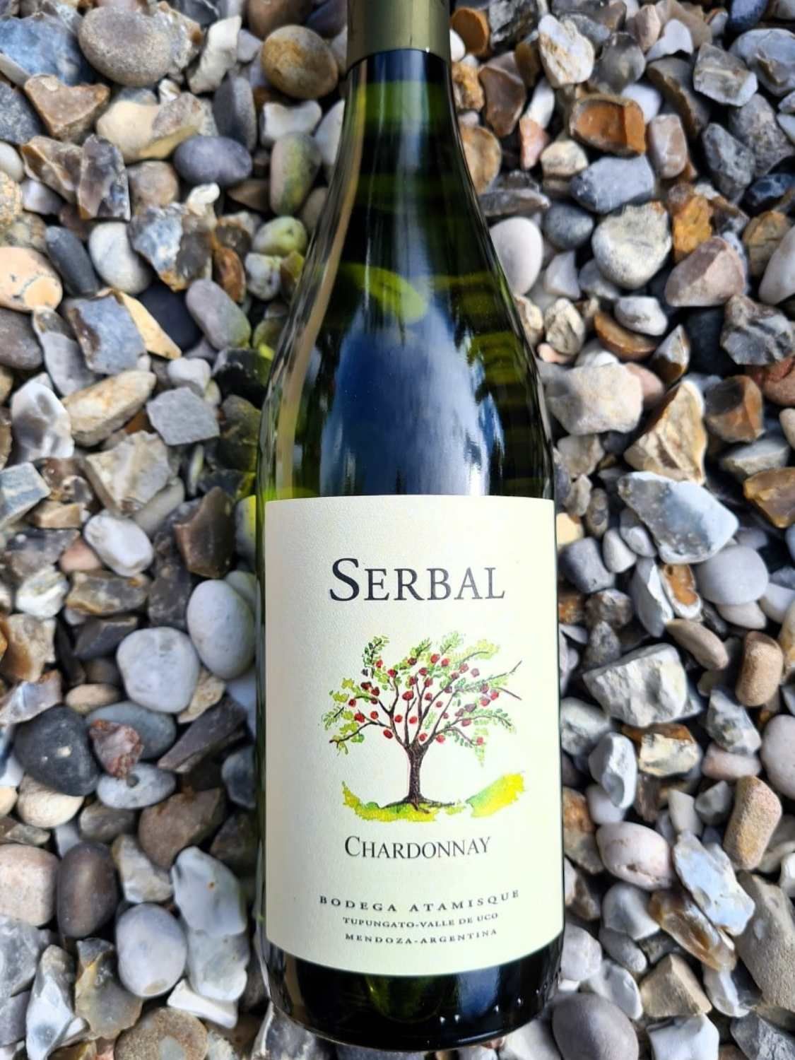 Atamisque 'Serbal' Chardonnay 2023