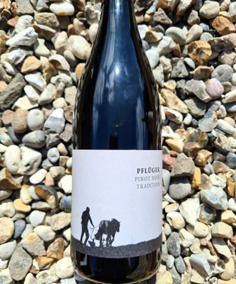 Pfluger Pinot Noir 'Tradition' 2023
