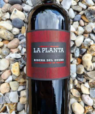 Bodegas Arzuaga La Planta Ribera del Duero 2023