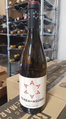 Terra de Asorei Albarino Crianza &#39;Sobre Lias&#39; 2023 DAMAGED LABEL