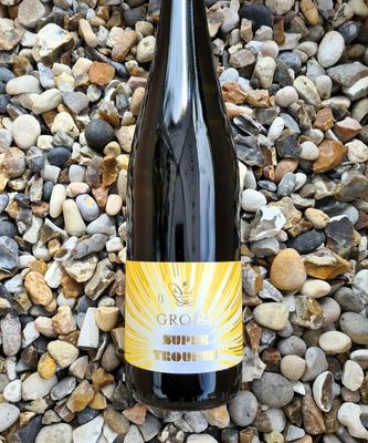Ingrid Groiss Riesling 'Super Trouper' 2023