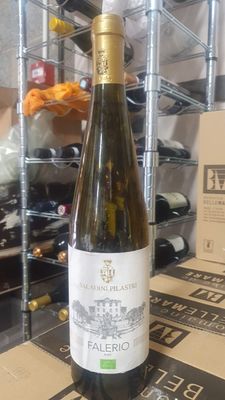 Falerio DOC Saladini Pilastri 2023 - Damaged Labels