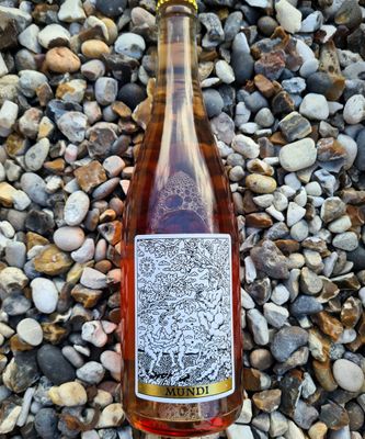 Frederic Mabileau Pet'Nath 'Mundi' Rose 2023 Frederic Mabileau Pet'Nath 'Mundi' Rose 2023