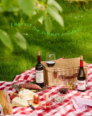 Summer Offers - Up to 20% Off