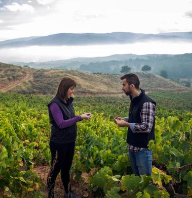 Bodegas Martinez Alesanco - Rioja