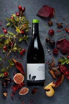 Pfluger Pinot Noir 'Tradition' 2023
