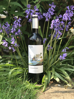 Bodegas La Purisima ‘Consentido’ Macabeo 2025