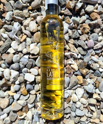 Casas del Bosque Late Harvest Riesling 2024 Half Bottle