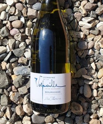 Domaine de la Verpaille Bourgogne Blanc 'Les Thorains' 2024