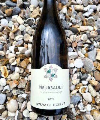 Sylvain Bzikot Meursault 2024