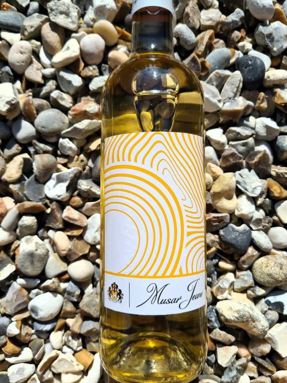 Chateau Musar Jeune White 2022